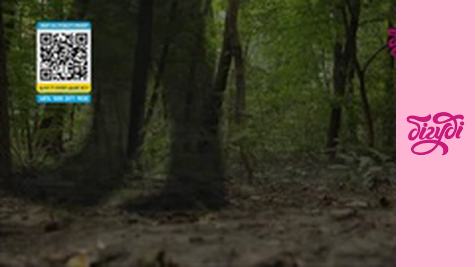 Т/с "Щоденники Темного", 18 с.