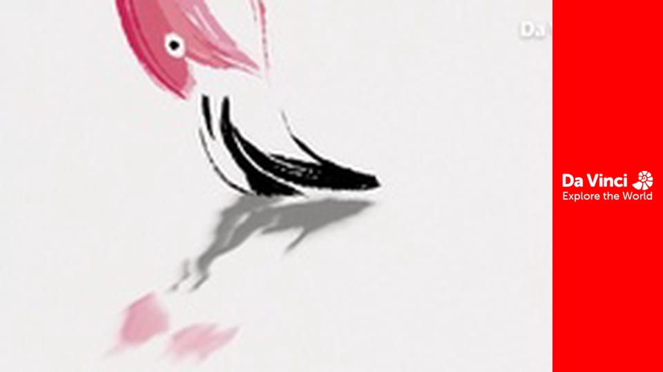 Puii de animale - Flamingo