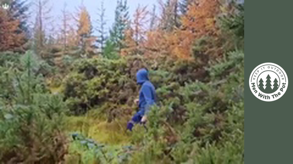 A tökéletes szendvics