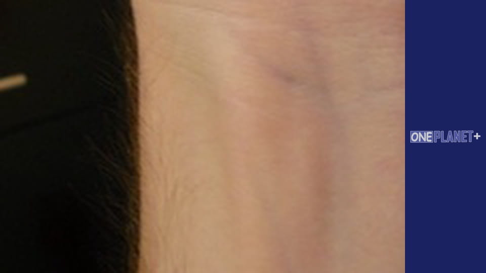 Interesting, Season 1, Episode 2