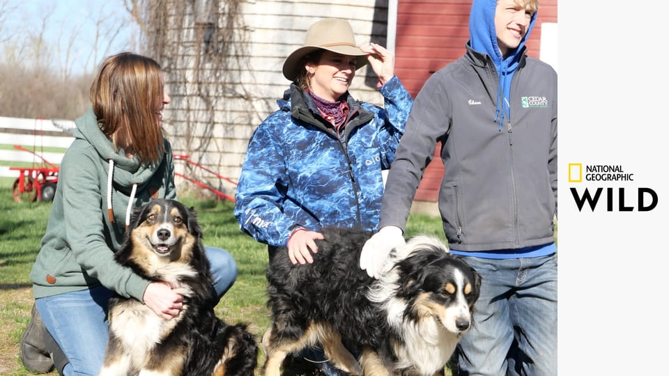 Veterináři z Nebrasky S4E2 - Dobrovolnící do morku kostí