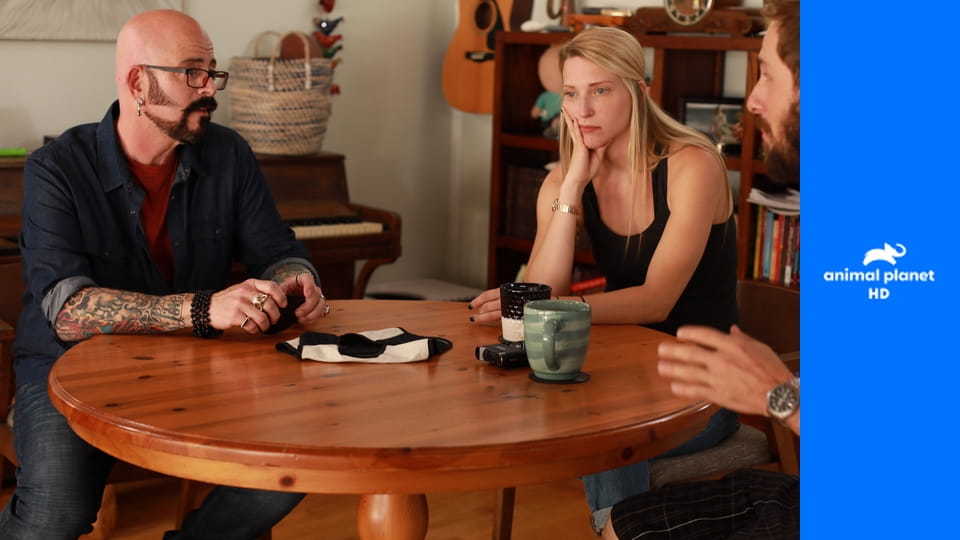 Адская кошка S9E3 - Борьба меток