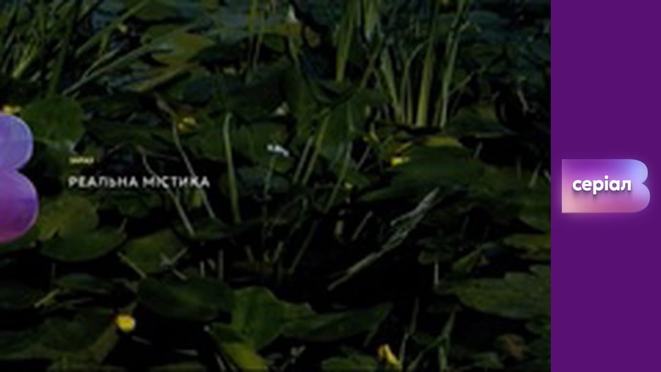 "Реальная мистика", 2 сезон, 15 эп. "Тихие заводи".