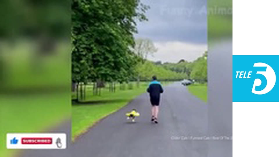 Uśmiechnij się S1E11