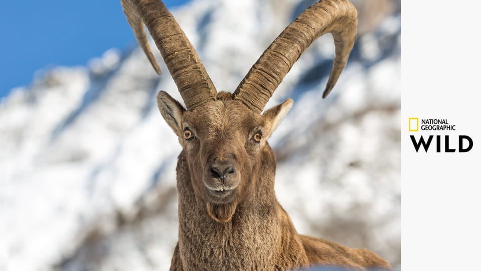 Скрытые чудеса Европы S1E4 - Греция