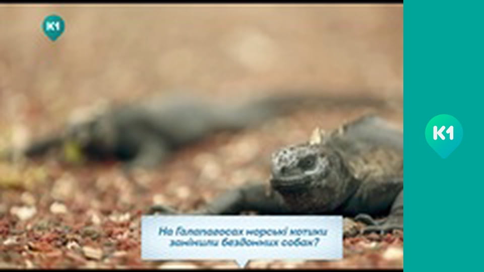 "Так не буває".