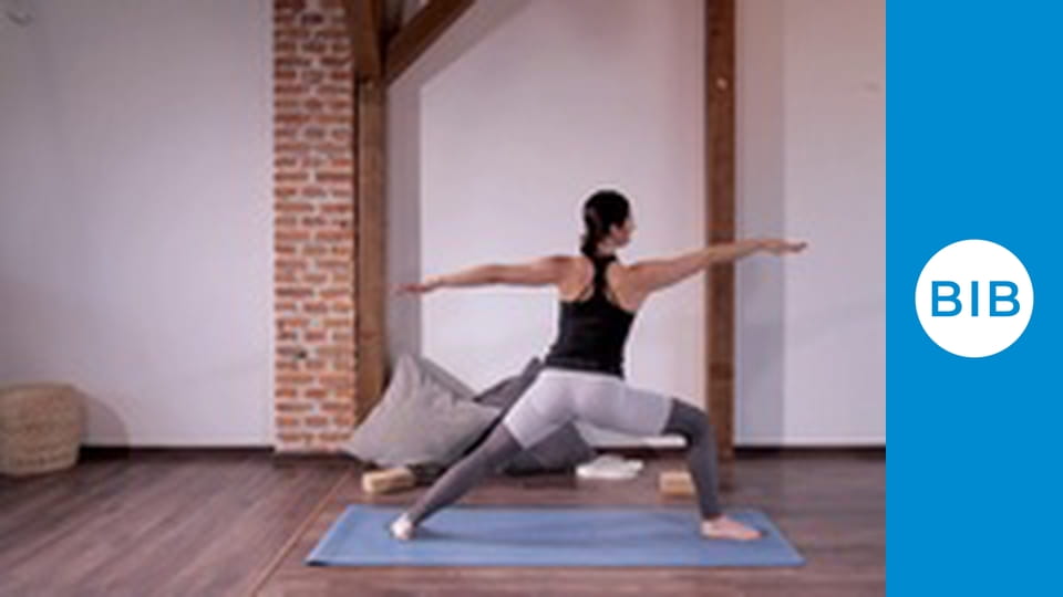 Grandmaster Shifuji Fusion