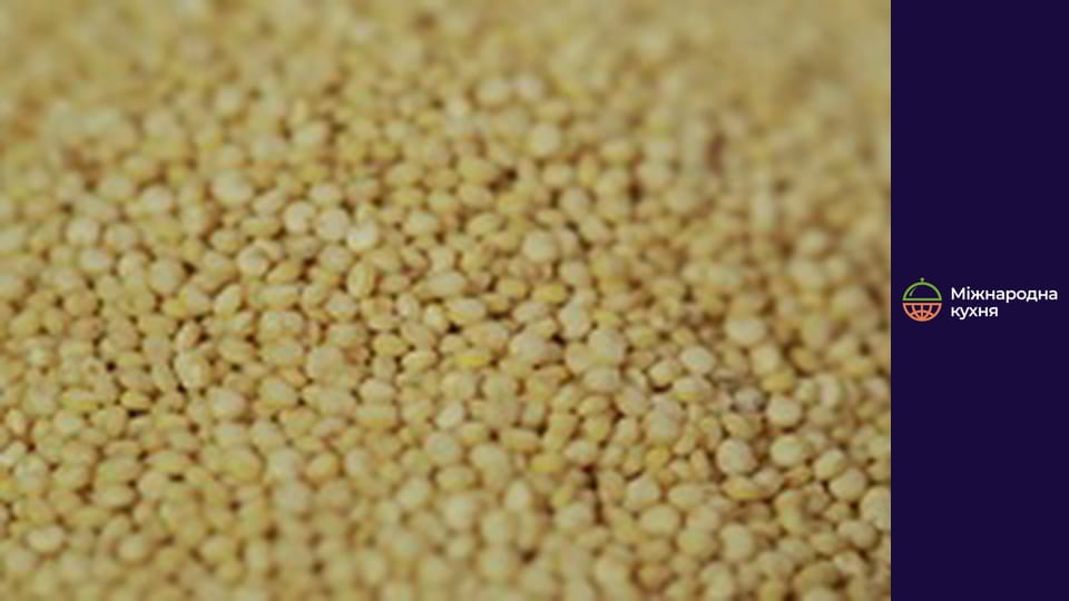 Т/с "Sea Ohm nom" season 1 series 5