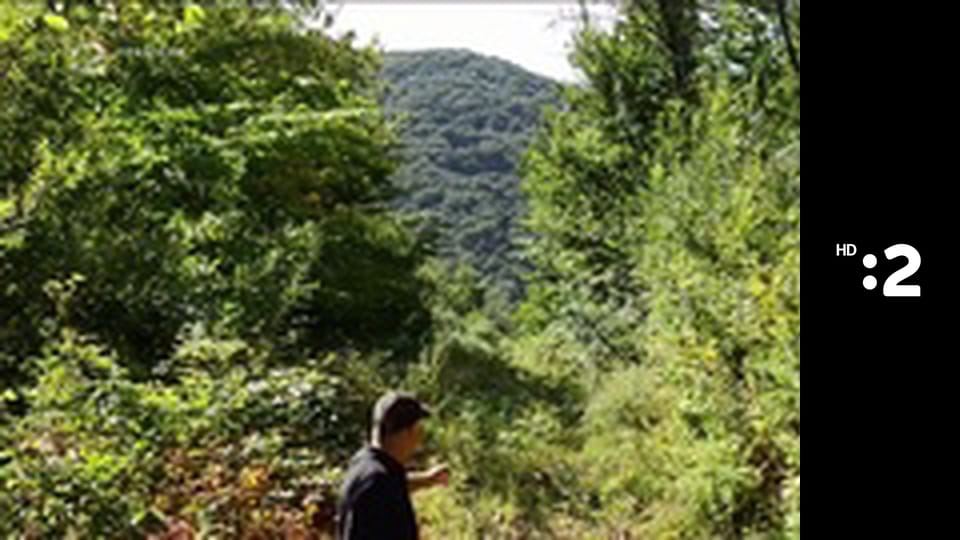 Andalúzia - zeleninová záhrada Európy