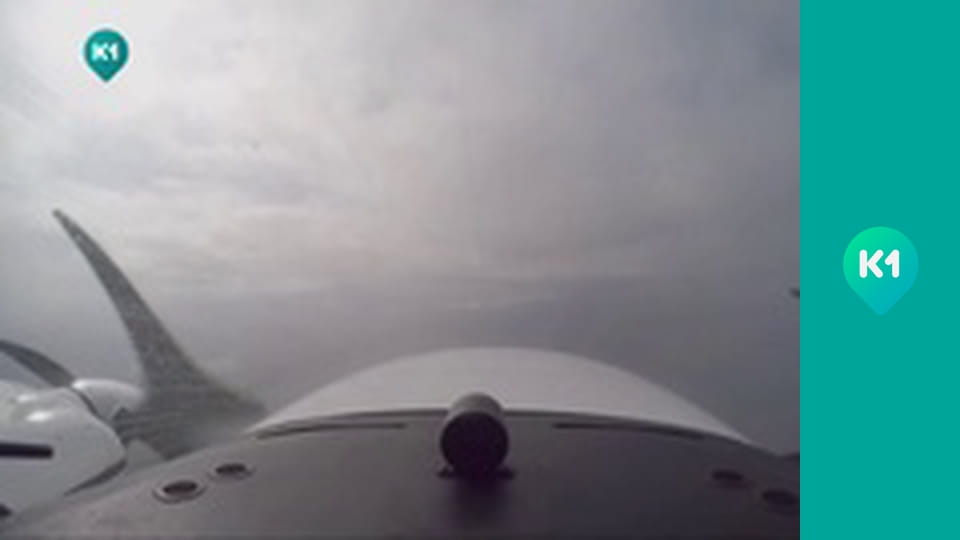 "Орел і Решка. Дайджест".