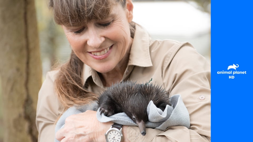 Зоопарк Ирвинов S4E5