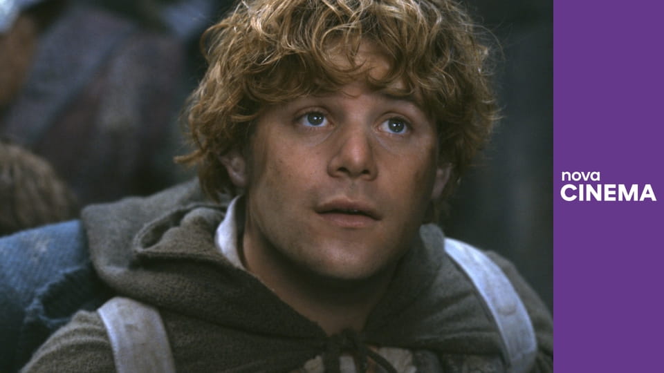 Pán prstenů: Společenstvo Prstenu