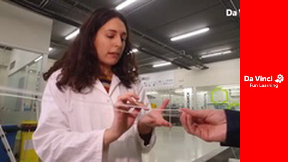 Футуріс - Екологічно чисті пластмаси