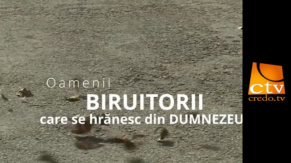 Biruitorii