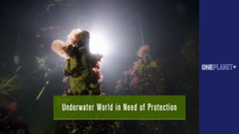 Just in the sky - National Parks. - episode 3