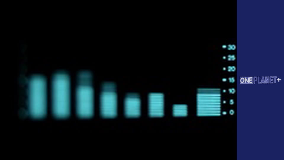 Interesting, Season 1, Episode 4