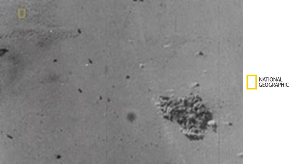 Nacistické megastavby S4E4 - Hitlerova Luftwaffe