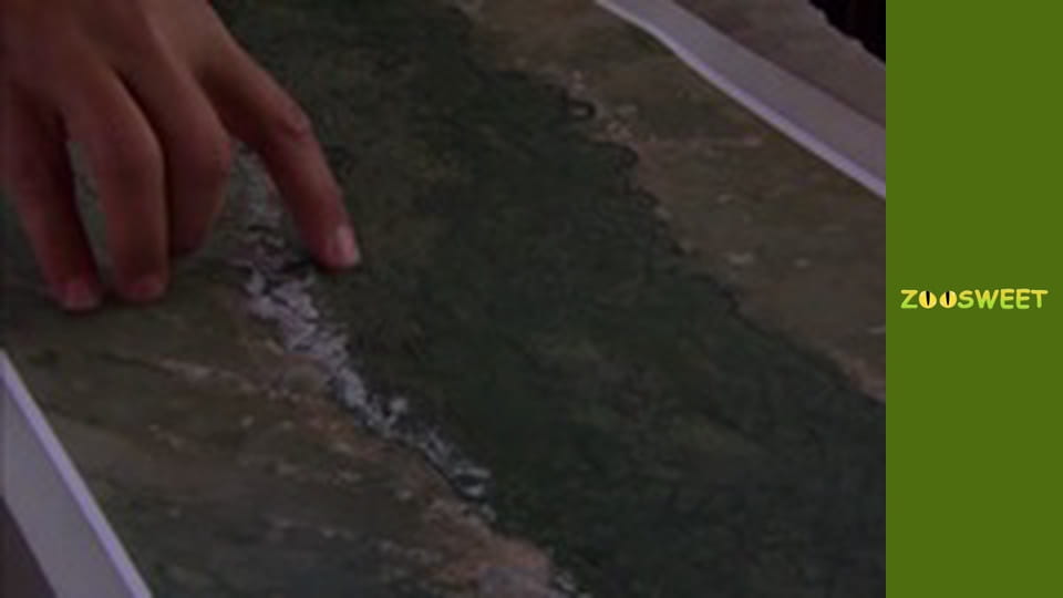 Survival, Season 1, Episode 23