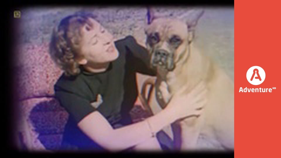 Tajne archiwa Trzeciej Rzeszy