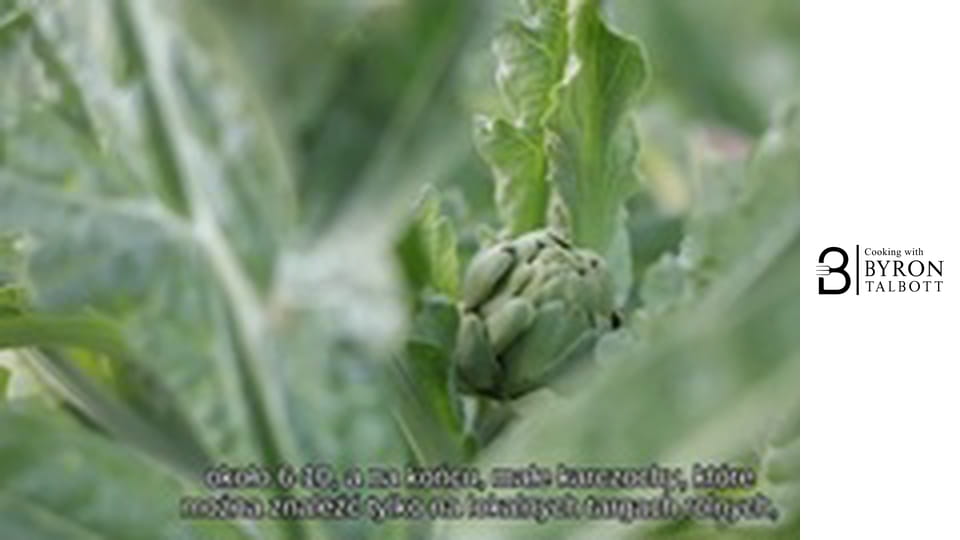 Growing and Cooking Artichokes