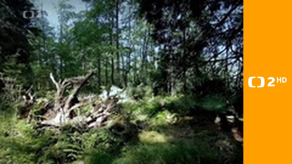 Cesty víry - Opravdová blízkost adventu