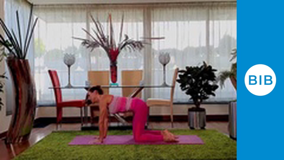 Let's Be Bodyholics Upper Body