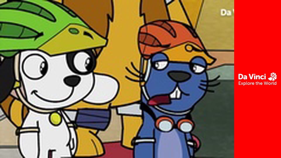 Doki - Concursul de skateboard