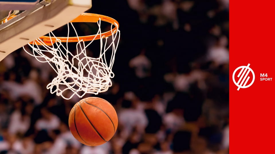 Kosárlabda: világbajnoki selejtező férfiak - Belgium – Magyarország mérkőzés