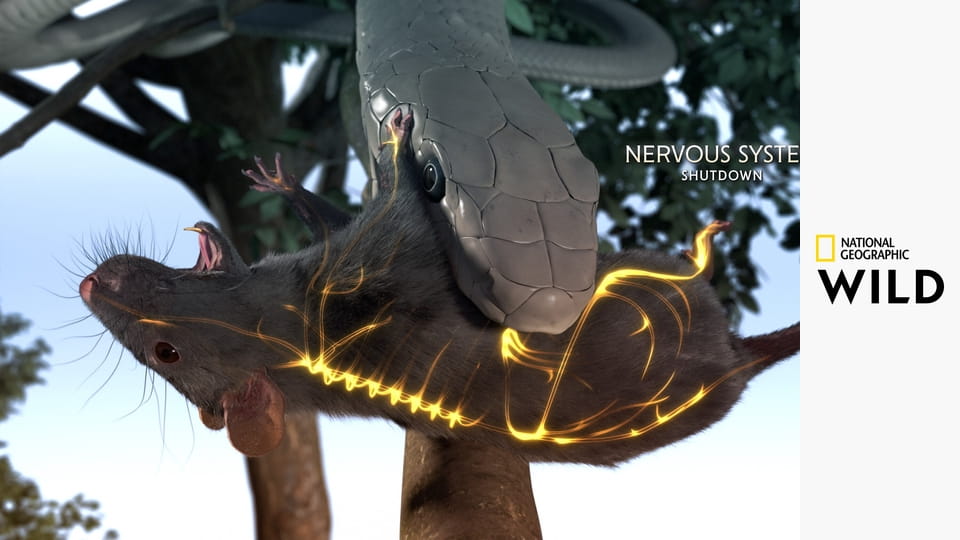 Легенды Венома S1E3