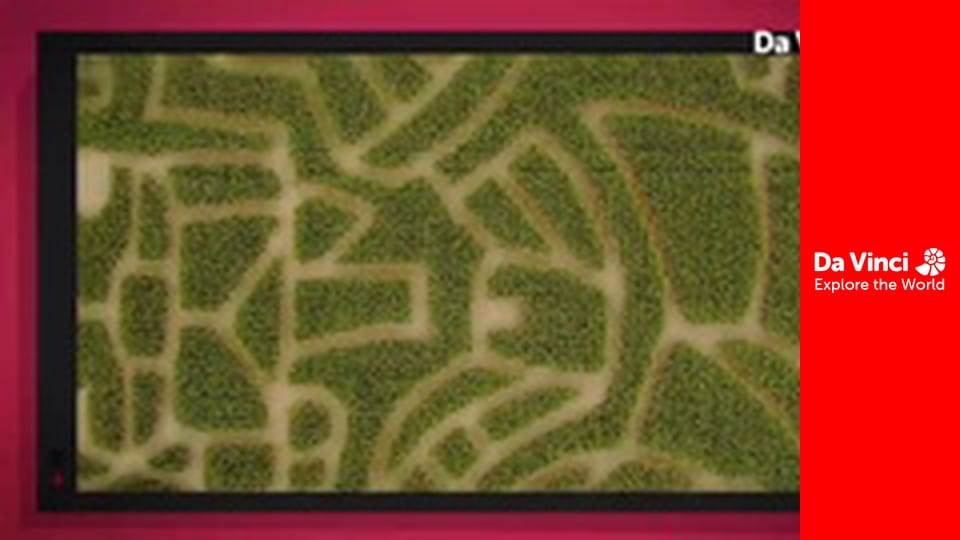 Do You Know? - Speaker and Colour