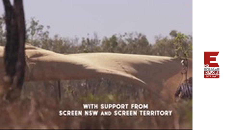 Australijscy łowcy bydła S2E6