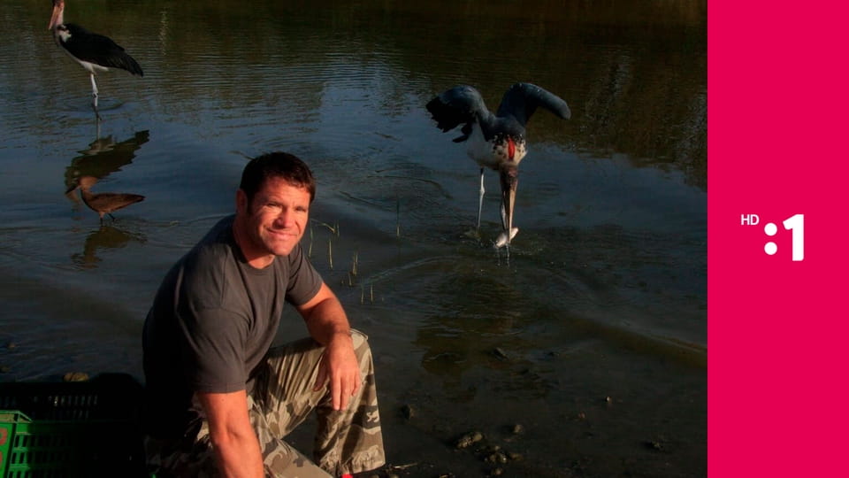 60 zabijakov divočiny E6