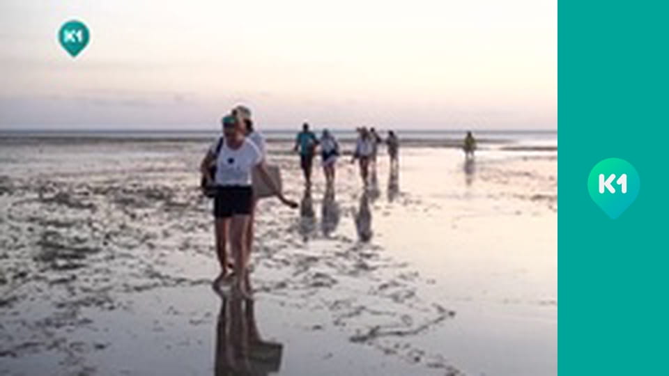 "Пригоди з Яною Метьолкіною".