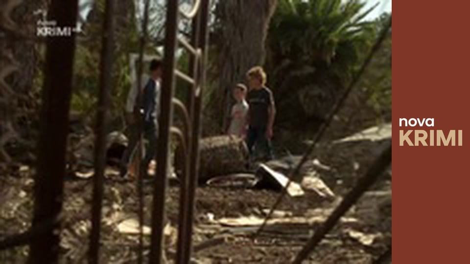 Myšlenky zločince S12E3