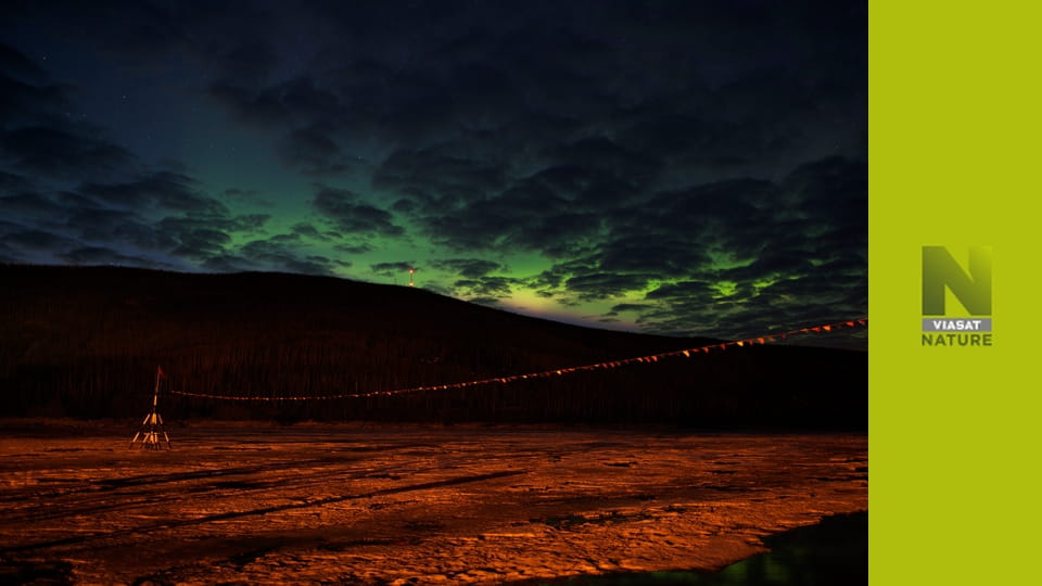 Дика Аляска S1E1 - Весна