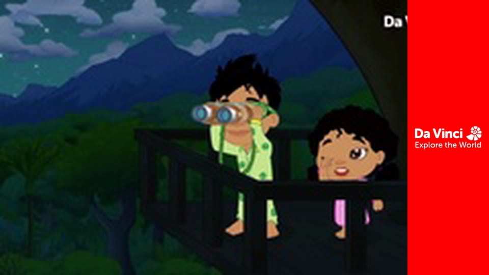 Darwin i Niutka - 3, 2, 1 start!