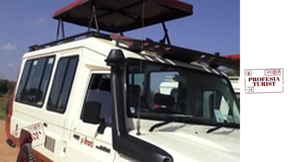 Сафари в Кения (Африка)