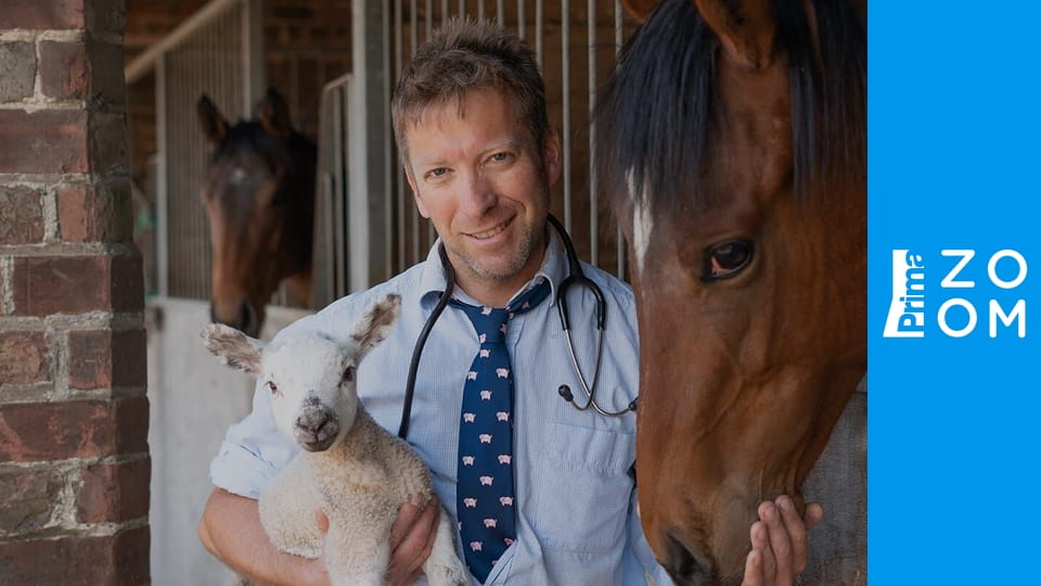 Veterinář z Yorkshiru S12E4