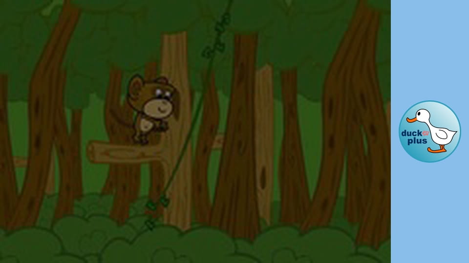 Mimo & Bobo - In the rain forest