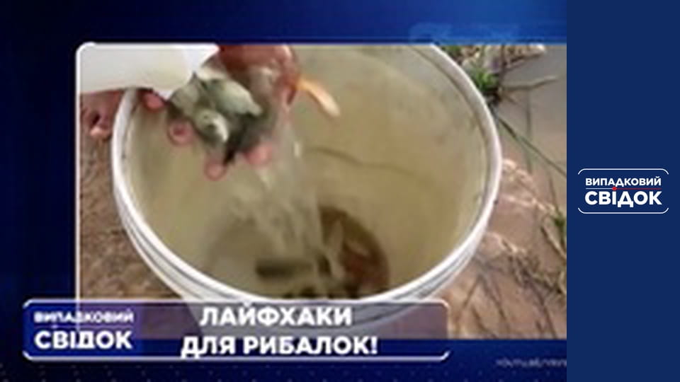 Accidental Witness: Around the World, Episode 27