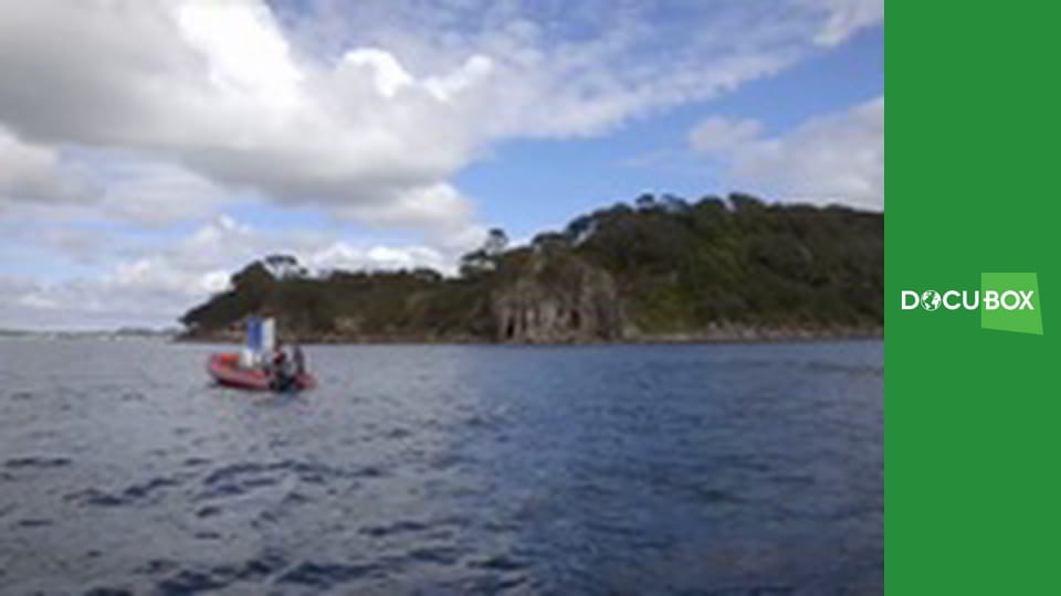 Polowa kuchnia Angela S1E3 - Makrela królewska