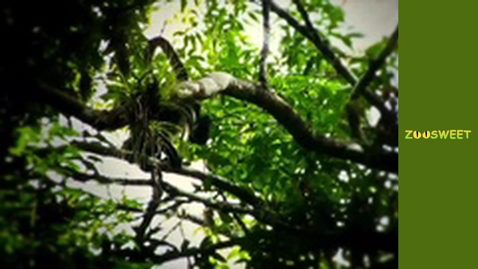 Wild life, Season 1, Episode 5