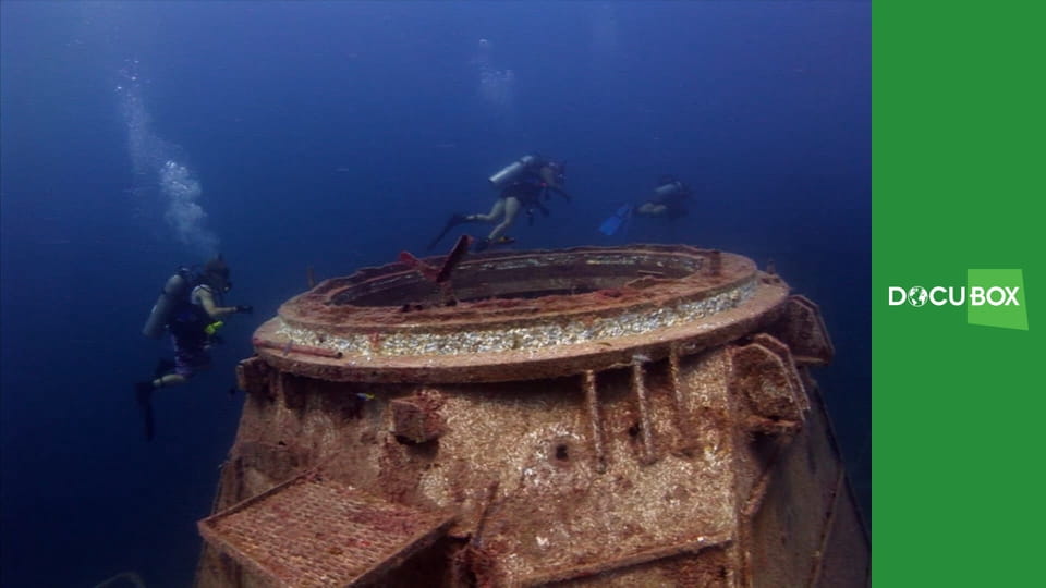 Podwodne królestwo S1E1