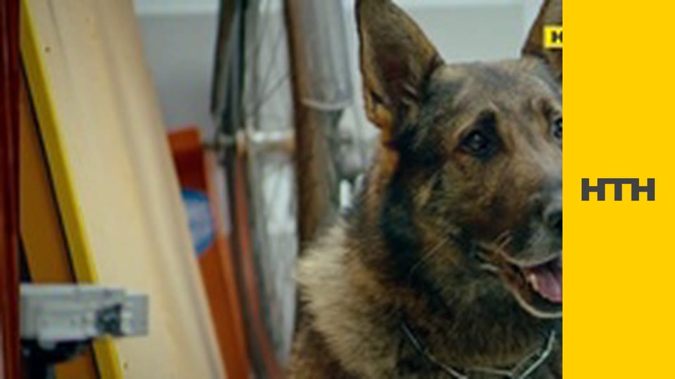 Т/с "Дрон", 31 і 32 с.