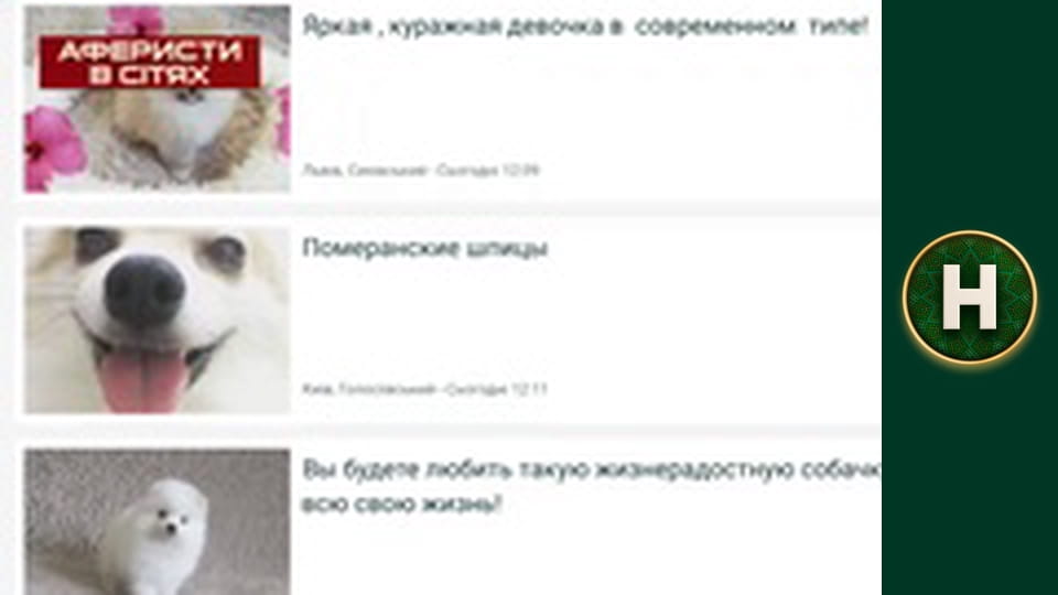 Служба розшуку дітей