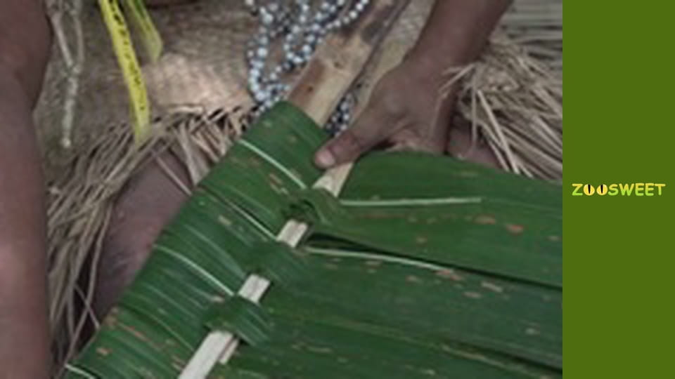 Escape to nature - episode 4