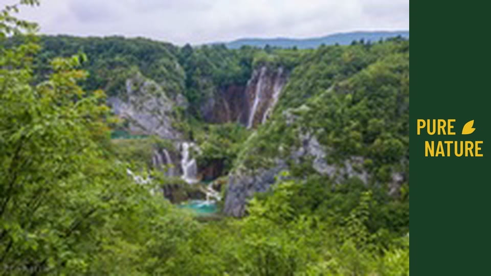 Lacurile Plitvice: Apele cristaline ale lacurilor croate