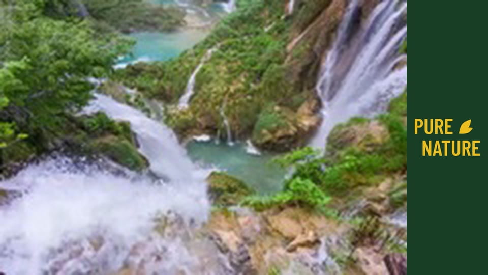 Plitvice Lakes: Crystal Waters of Croatian Lakes