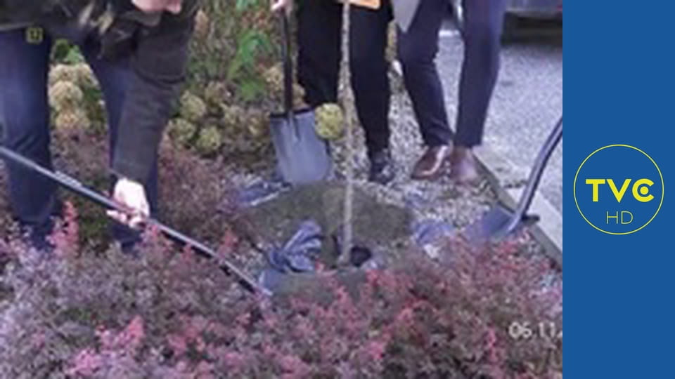 Z lokalnego archiwum