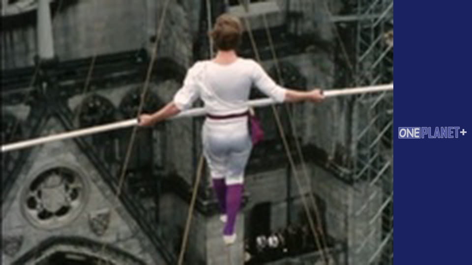 В поисках знаний. - cерия 28